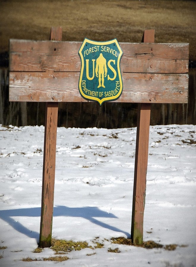 SQUATCH METALWORKS "Department of Sasquatch" Bigfoot Sign - Vintage Forest Service Design - Aluminum Roadsign - 11"x12" - Bigfoot/Sasquatch/Yeti/Nature Gift - SQUATCH METALWORKS - Image 4